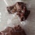 鲜牛肉，卤牛肚，牛头，牛蹄，牛筋，卤驴肉