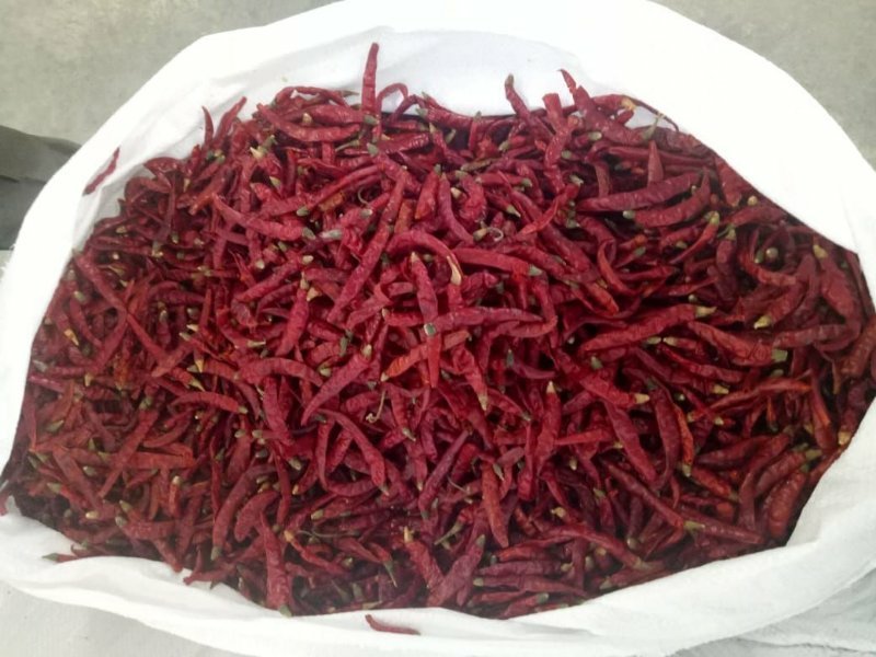 干辣椒s17豪华去把，另有带把打粉货，价高辣度好成本低