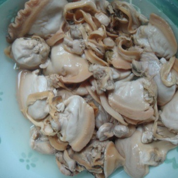 水产，河蚌肉