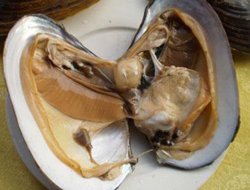 水产，河蚌肉