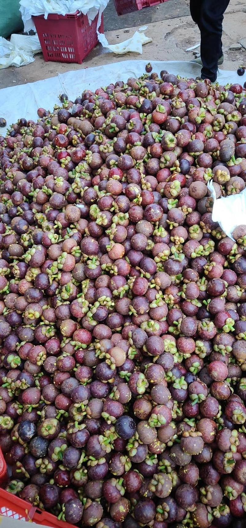 泰国进口山竹新鲜水果批发5斤应季采包邮整箱当季新鲜水果