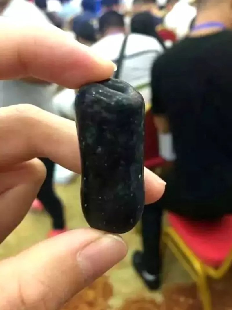 葡萄苗