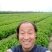 西安芹菜代办田重太