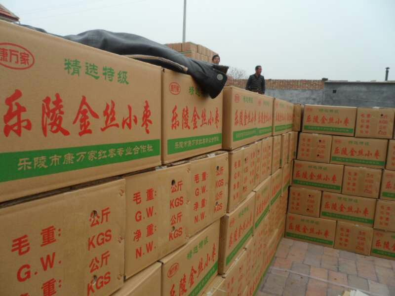 山东金丝小枣产地直供规格全价格便宜欢迎咨询