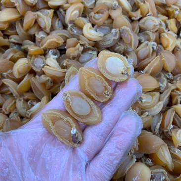小鲍鱼干