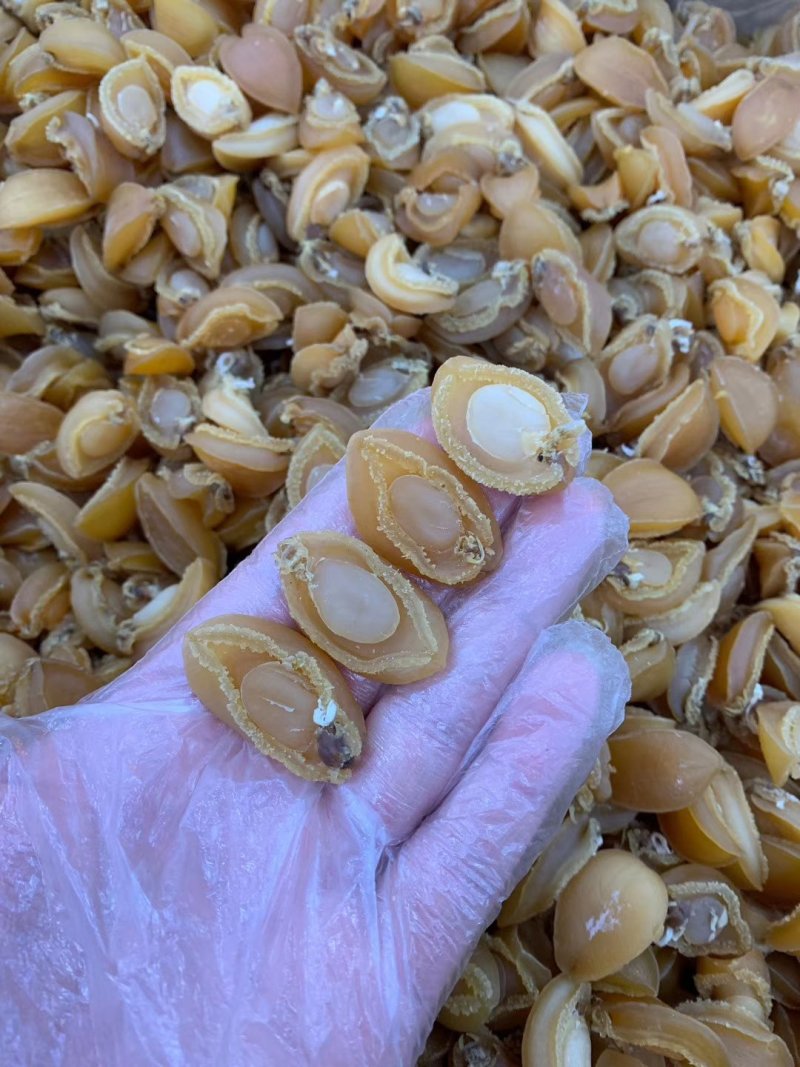 小鲍鱼干