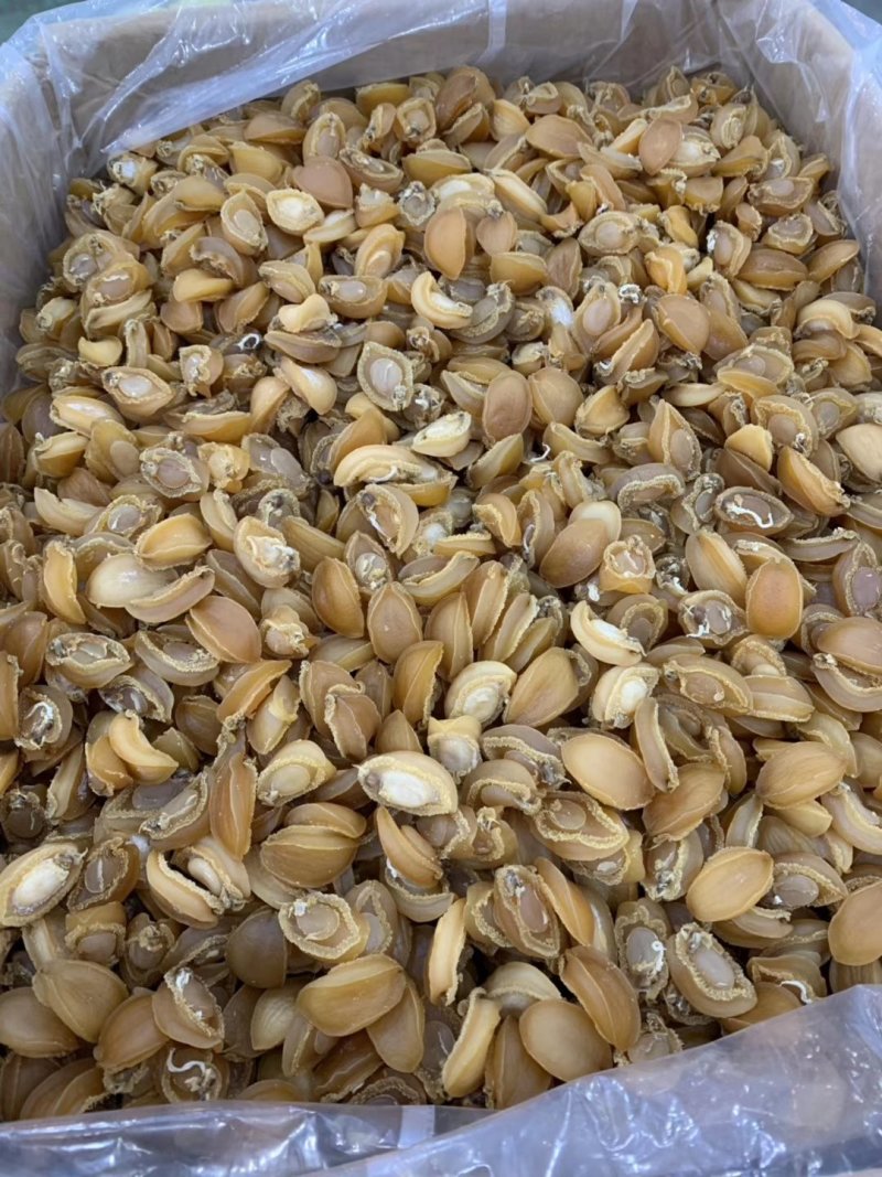 小鲍鱼干