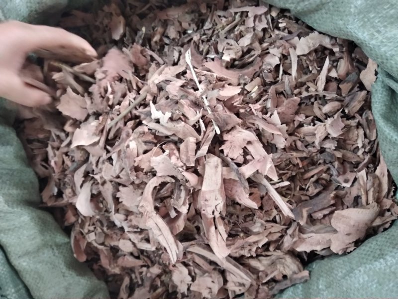 山稔根全根