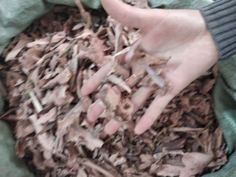 山稔根全根