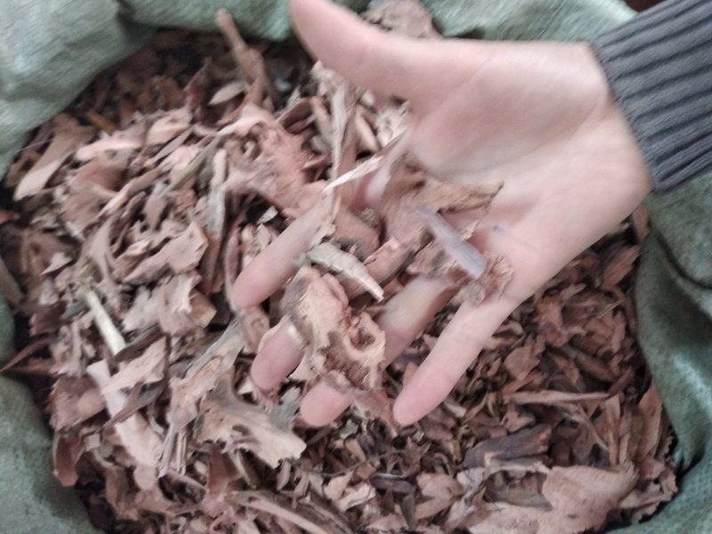 山稔根全根