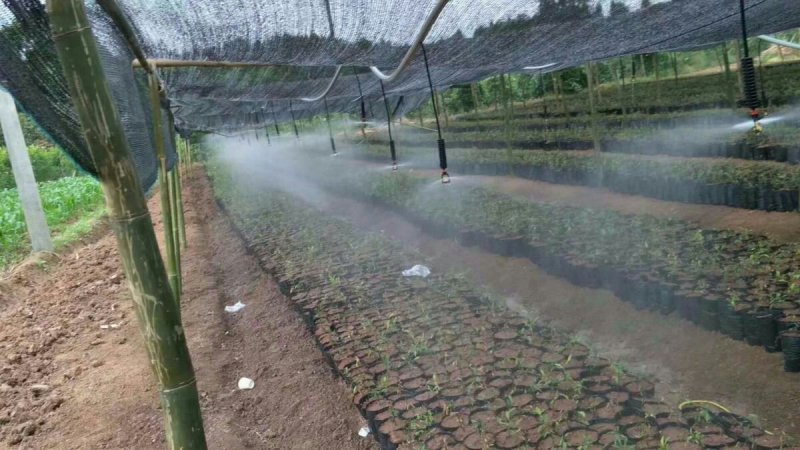 大棚雾化微喷头倒挂360度旋转喷头套装温大棚园艺雾化加湿