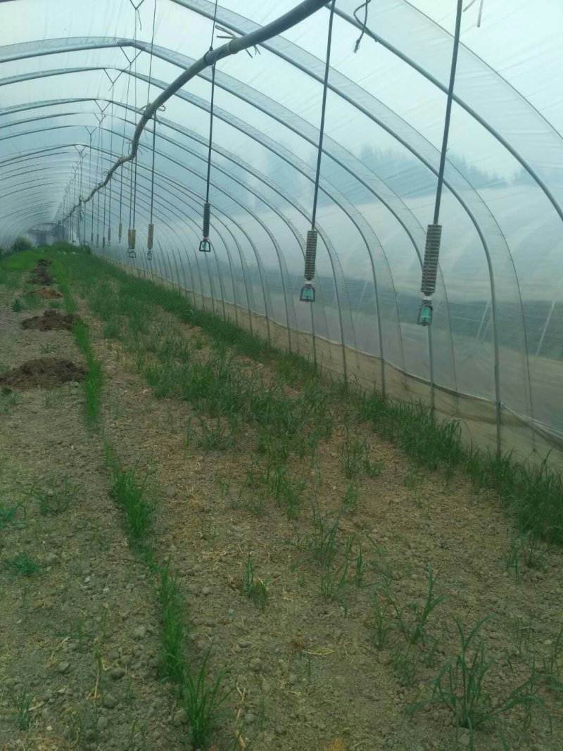 大棚雾化微喷头倒挂360度旋转喷头套装温大棚园艺雾化加湿