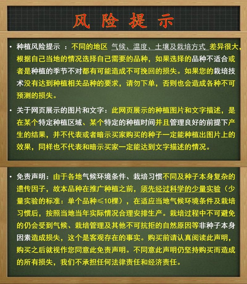 【包邮】圣椒辣味香浓易坐果大羊角椒辣椒种子