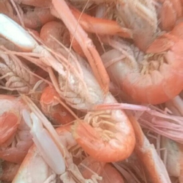 抓虾