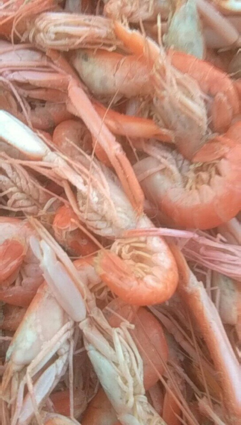 抓虾