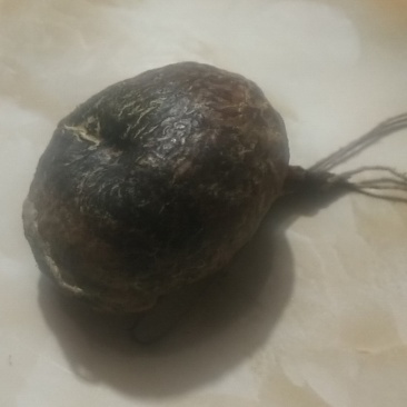 风干一年的鸡宝