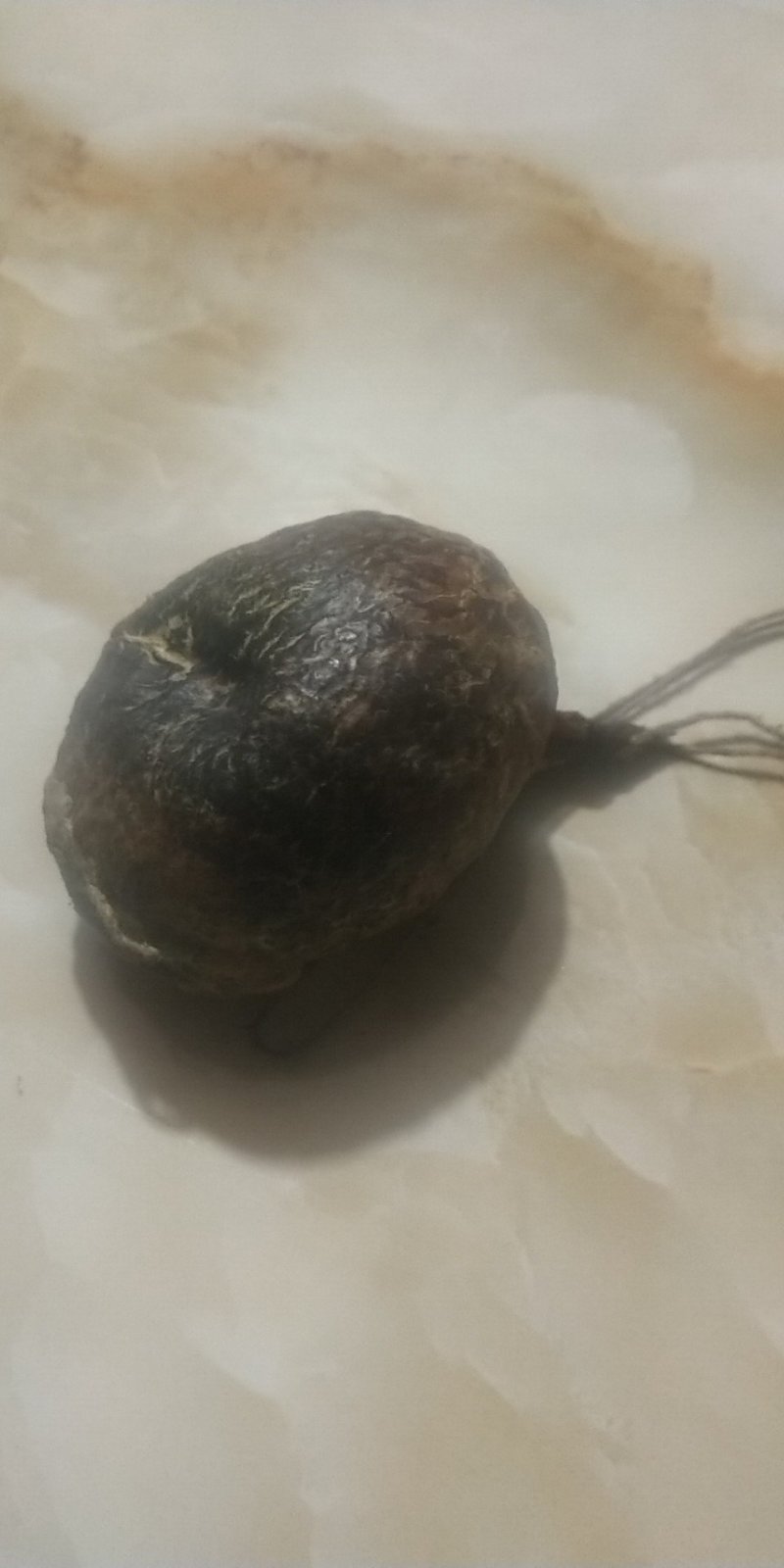 风干一年的鸡宝