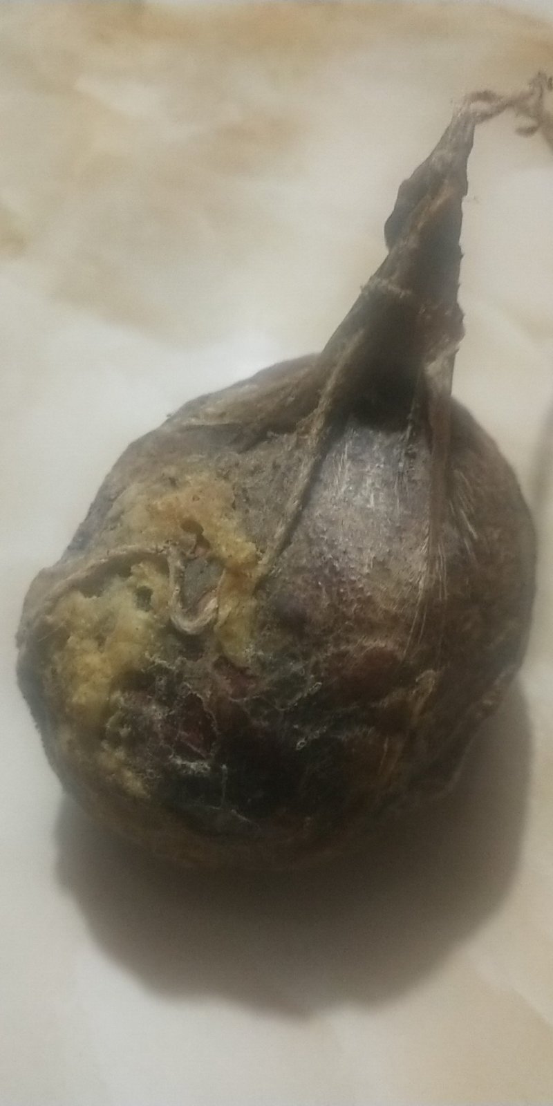 风干一年的鸡宝