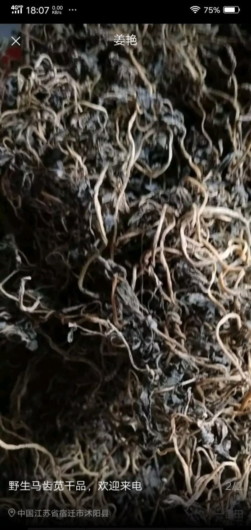 马齿苋菜干，
