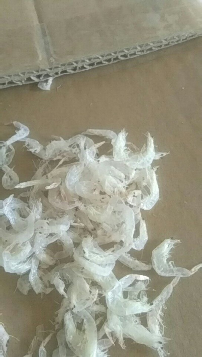 虾皮