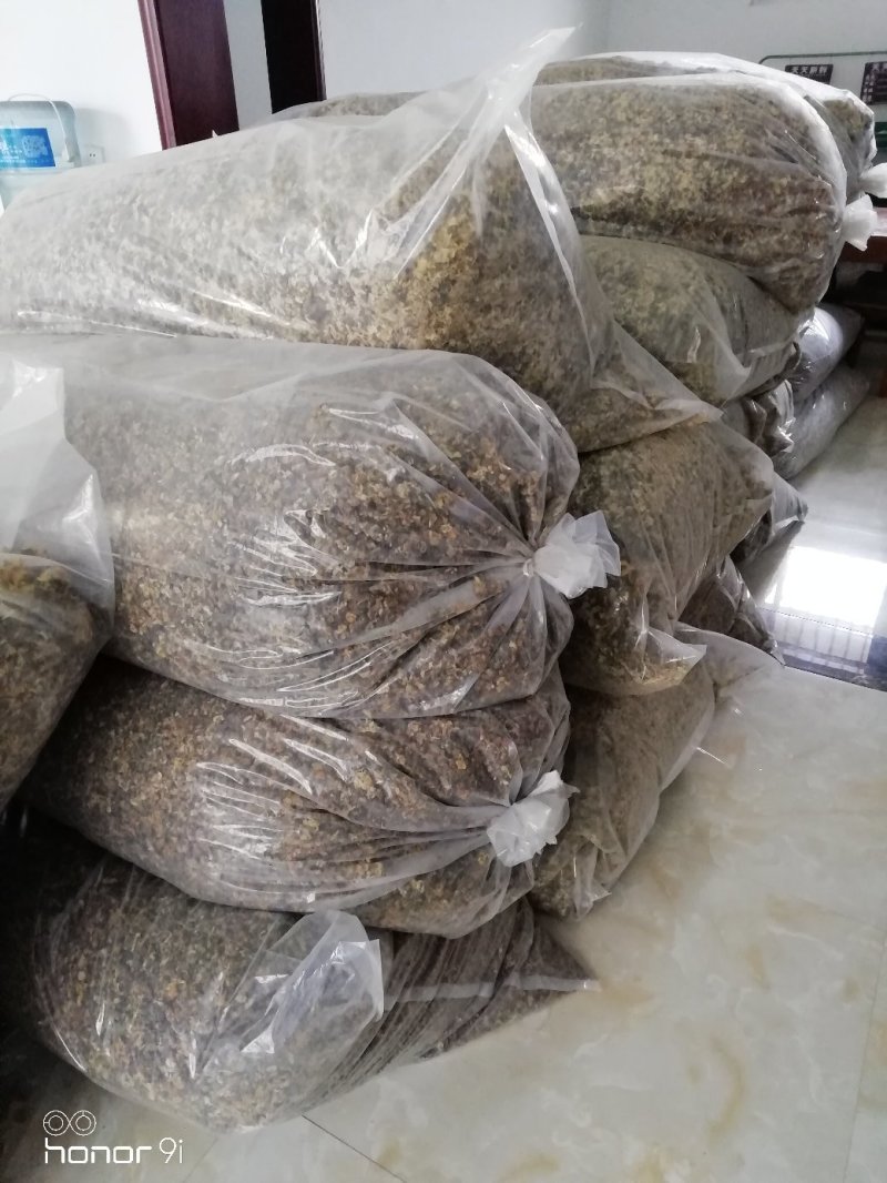 杭白菊
