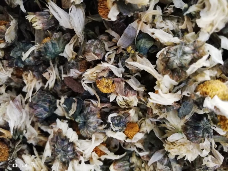 杭白菊