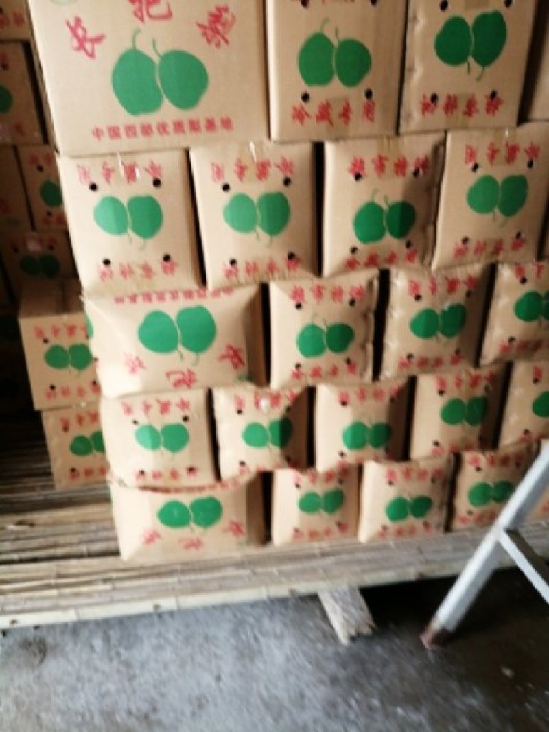 酥梨，长把梨，红香酥