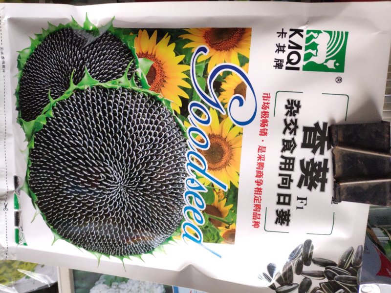 向日葵种子一香葵F1