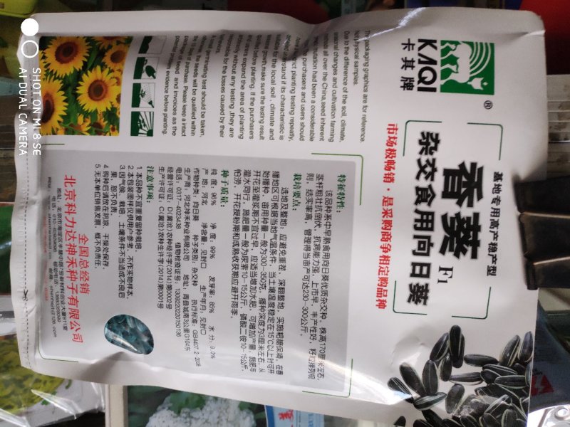 向日葵种子一香葵F1