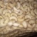 优质大个去皮腰果
