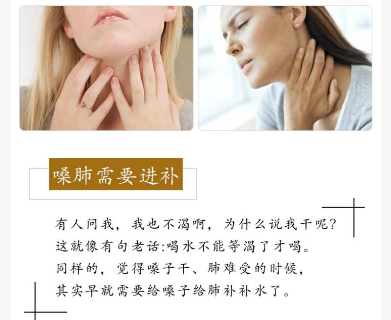 批发供应新货胖大海茶胖大海散装花草茶量大从优OEM