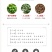 批发供应新货胖大海茶胖大海散装花草茶量大从优OEM