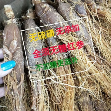 东北红参整支无糖人参长白山红参片无熏制高丽参全须红参