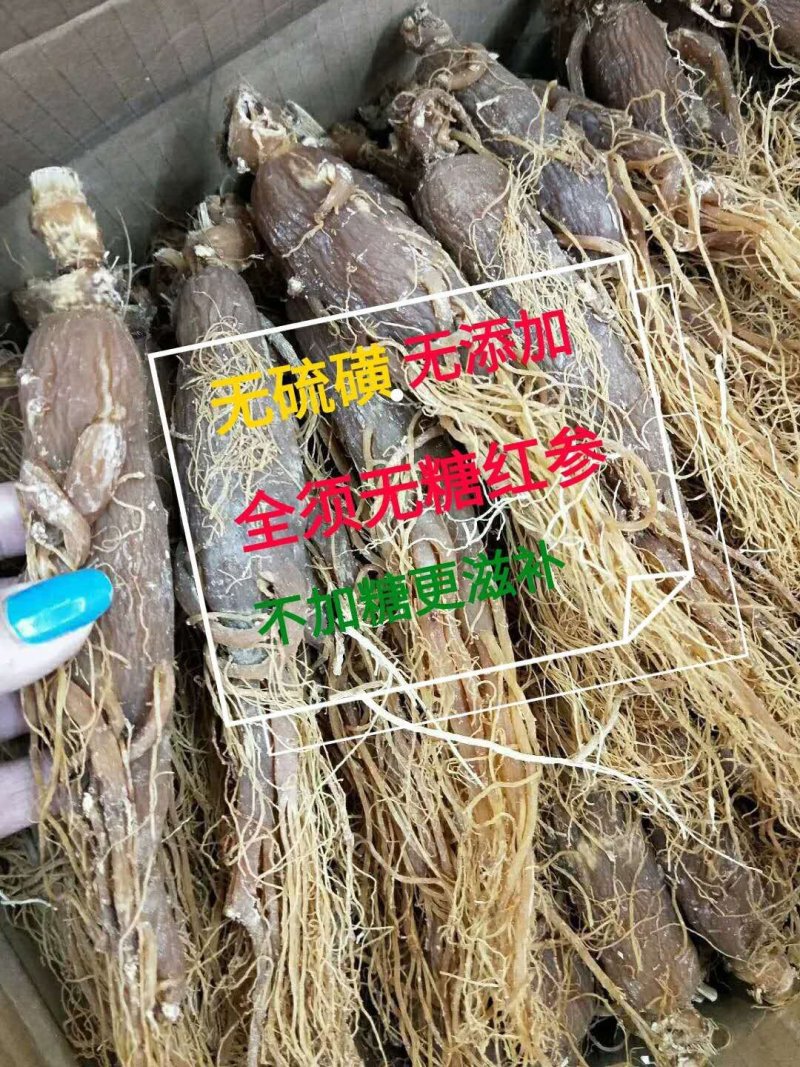 东北红参整支无糖人参长白山红参片无熏制高丽参全须红参