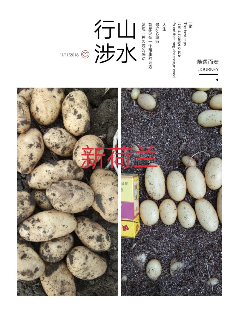 张北县国胜农业开发有限公司