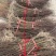 紫薇苗紫薇树紫薇树苗园林绿化紫薇自产自销批发价
