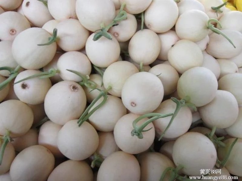 东方蜜，红心脆梨，脆红玉，博洋9，绿宝，金红，等等预售中