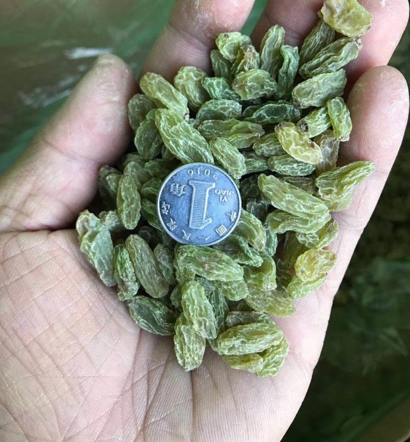 新疆灰枣，桂圆，葡萄干，干货大全