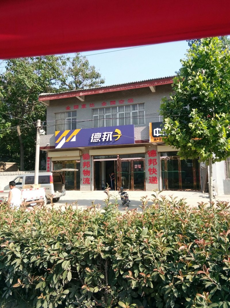 蚯蚓精选优质红色蚯蚓