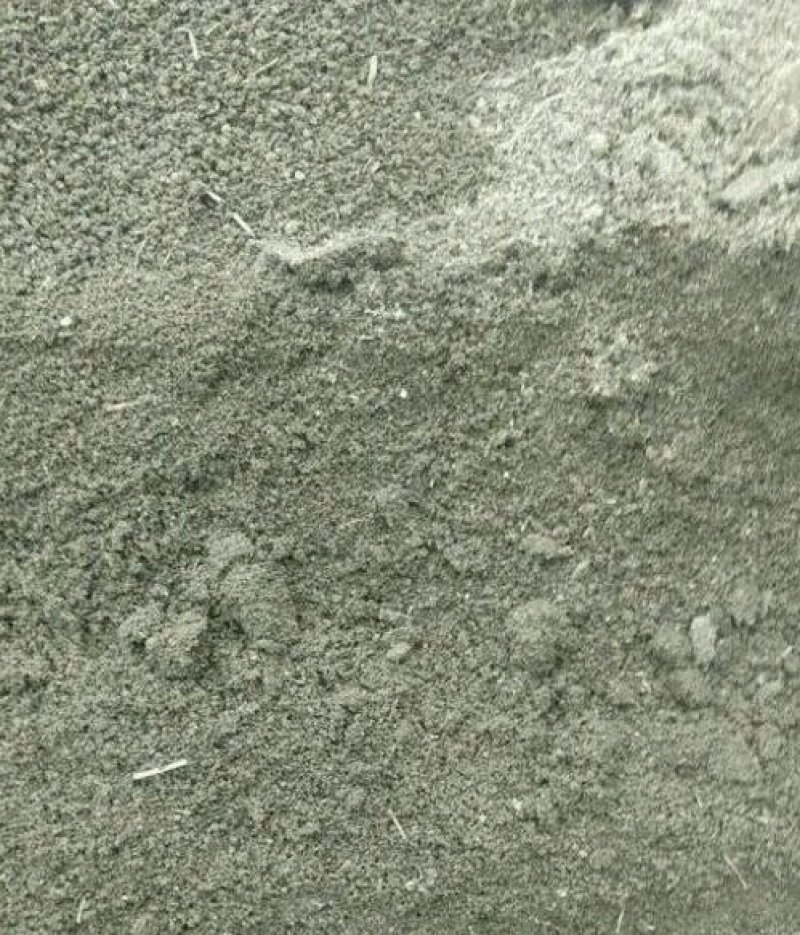 蚯蚓精选优质红色蚯蚓