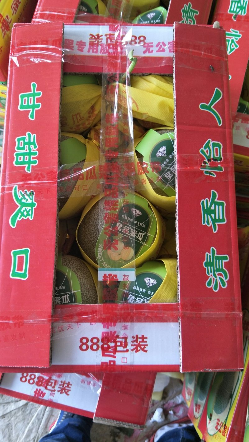 瓜果类东方蜜玉菇绿宝
