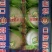 瓜果类东方蜜玉菇绿宝