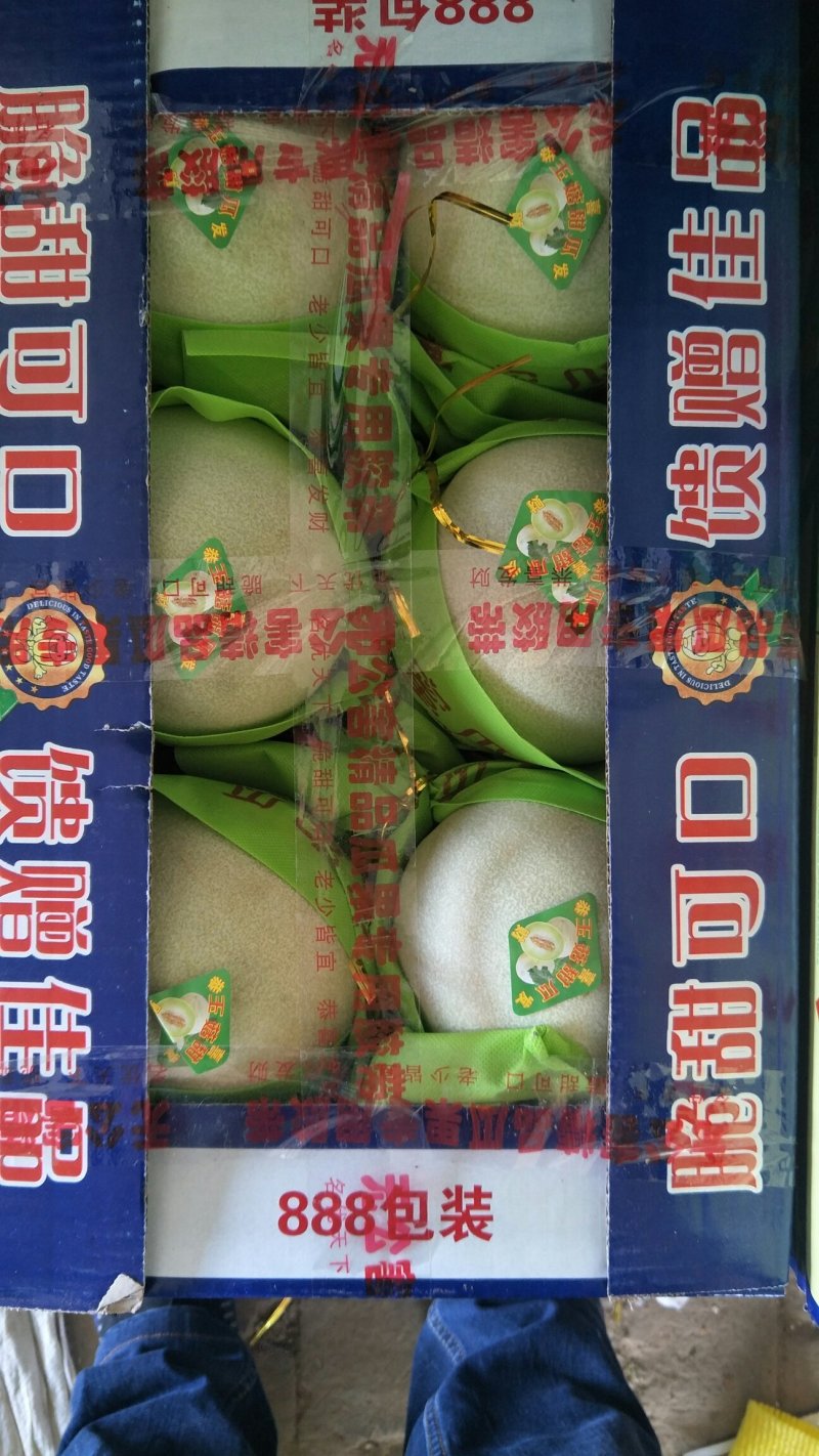 瓜果类东方蜜玉菇绿宝