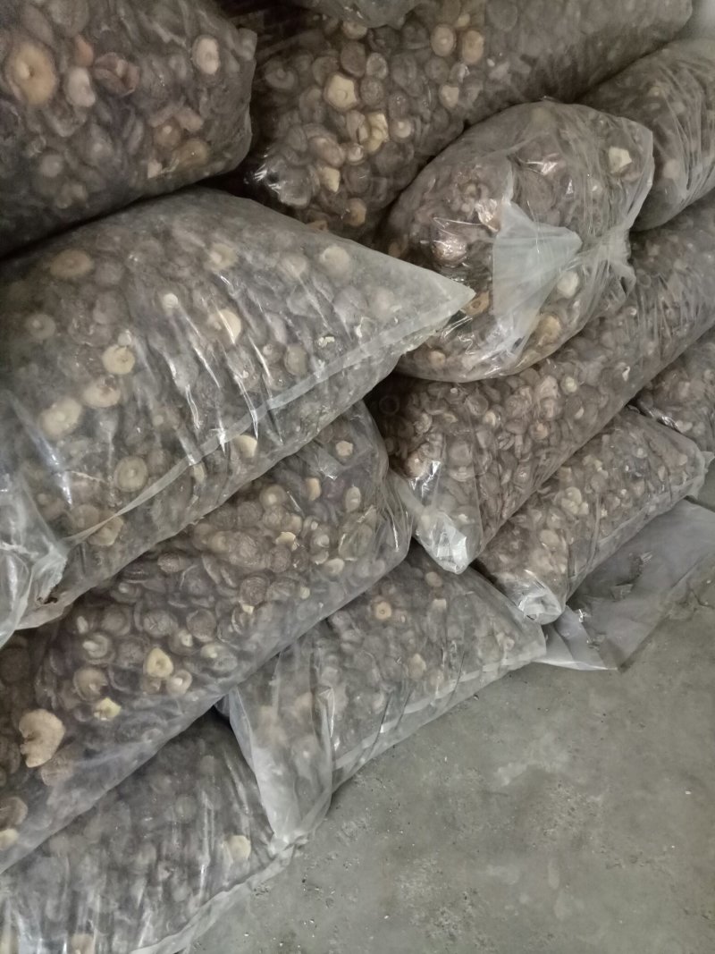 大香菇，是香菇菌盖4直径4厘米肉厚菇脚1厘米以内颜色正常