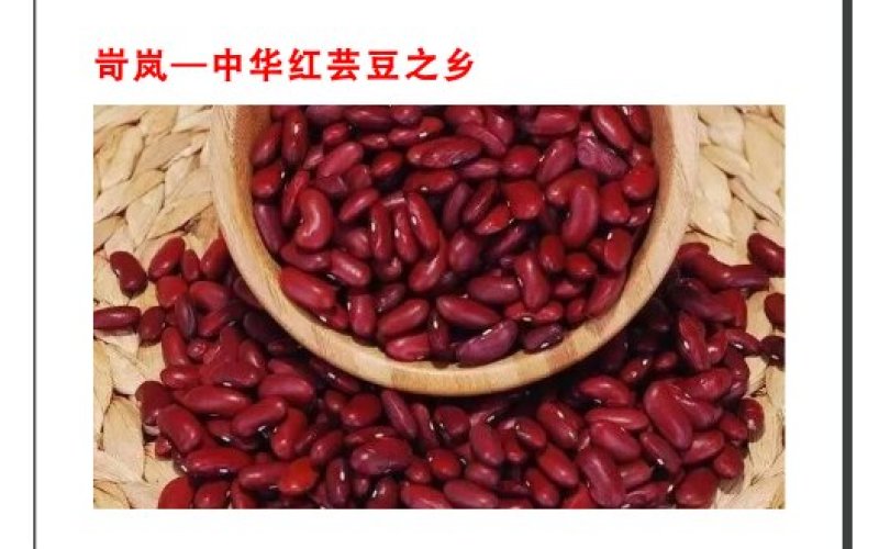 红芸豆