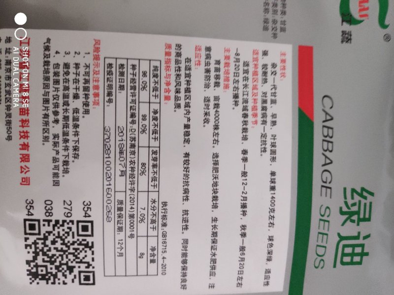 绿迪甘蓝早熟杂交一代球色深绿