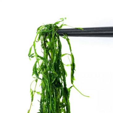 长寿菜，马尾藻，鞭炮笋中餐、火锅特色菜7斤一件