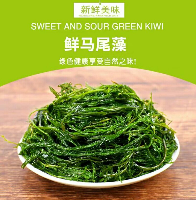 长寿菜，马尾藻，鞭炮笋中餐、火锅特色菜7斤一件
