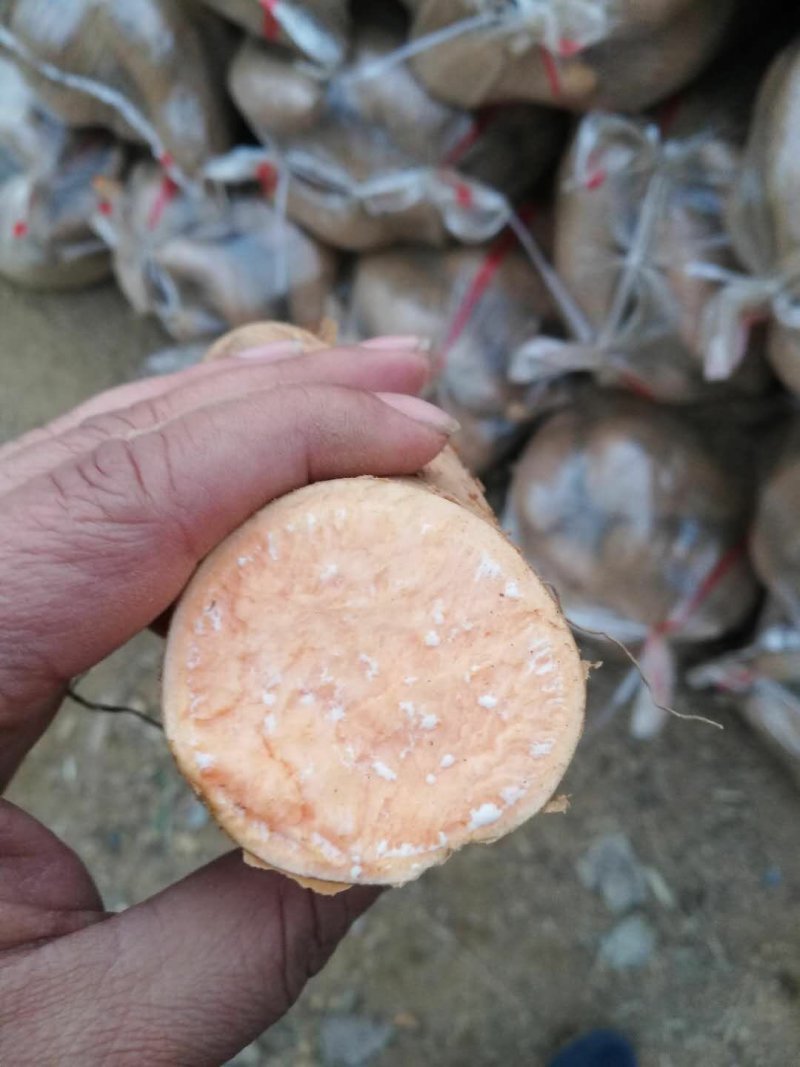 西瓜红红薯，红薯基地价格货源充足山东红薯直销