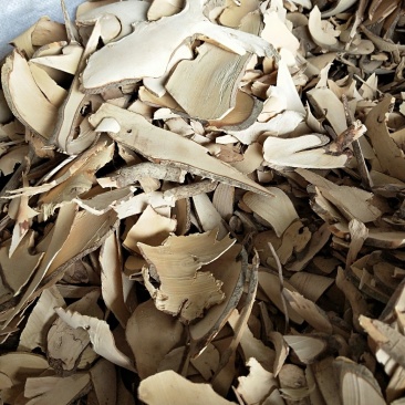 中药材茶树根货真价实量大从优无熏硫